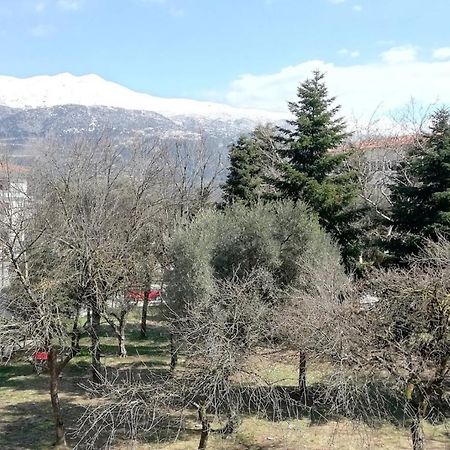 Gks Park View Διαμέρισμα Ιωάννινα Εξωτερικό φωτογραφία