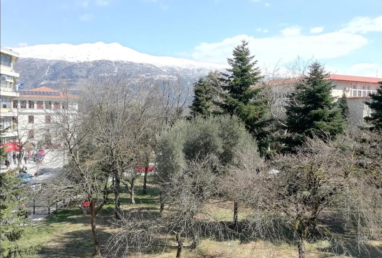Gks Park View Διαμέρισμα Ιωάννινα Εξωτερικό φωτογραφία